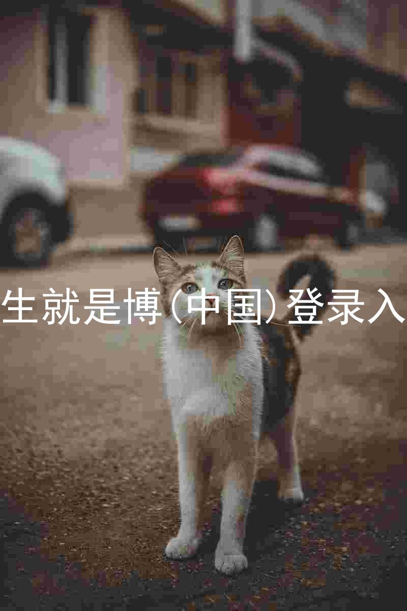人生就是博(中国)登录入口